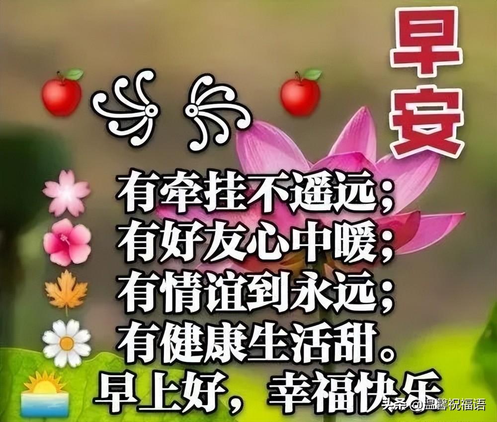 关于早上好的优美句子（正能量早安心语）