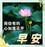 关于早上好的优美句子（正能量早安心语）