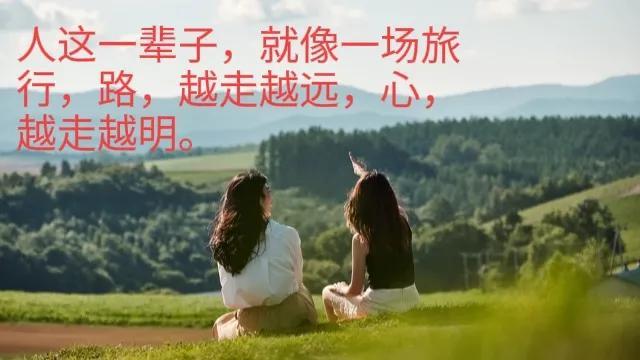 人生感悟语句摘录大全（领悟人生的经典语句）