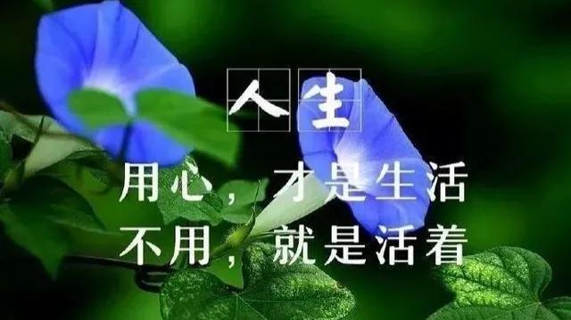 特别走心的人生感悟句子（句句深入人心）