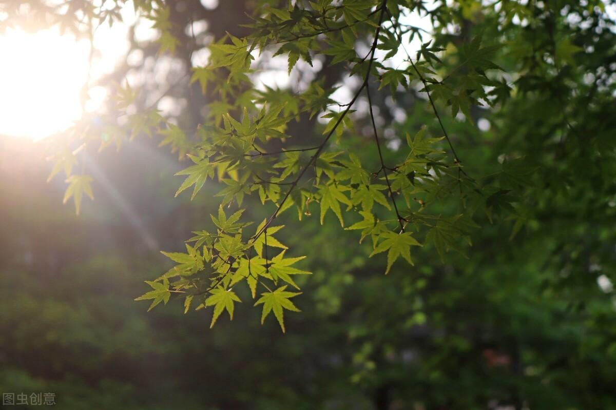 满是遗憾的句子（内心压抑到要崩溃的文案）