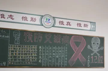 2022学校预防艾滋病知识宣传活动总结范文（校园防范艾滋病传染教育主题总结范例）