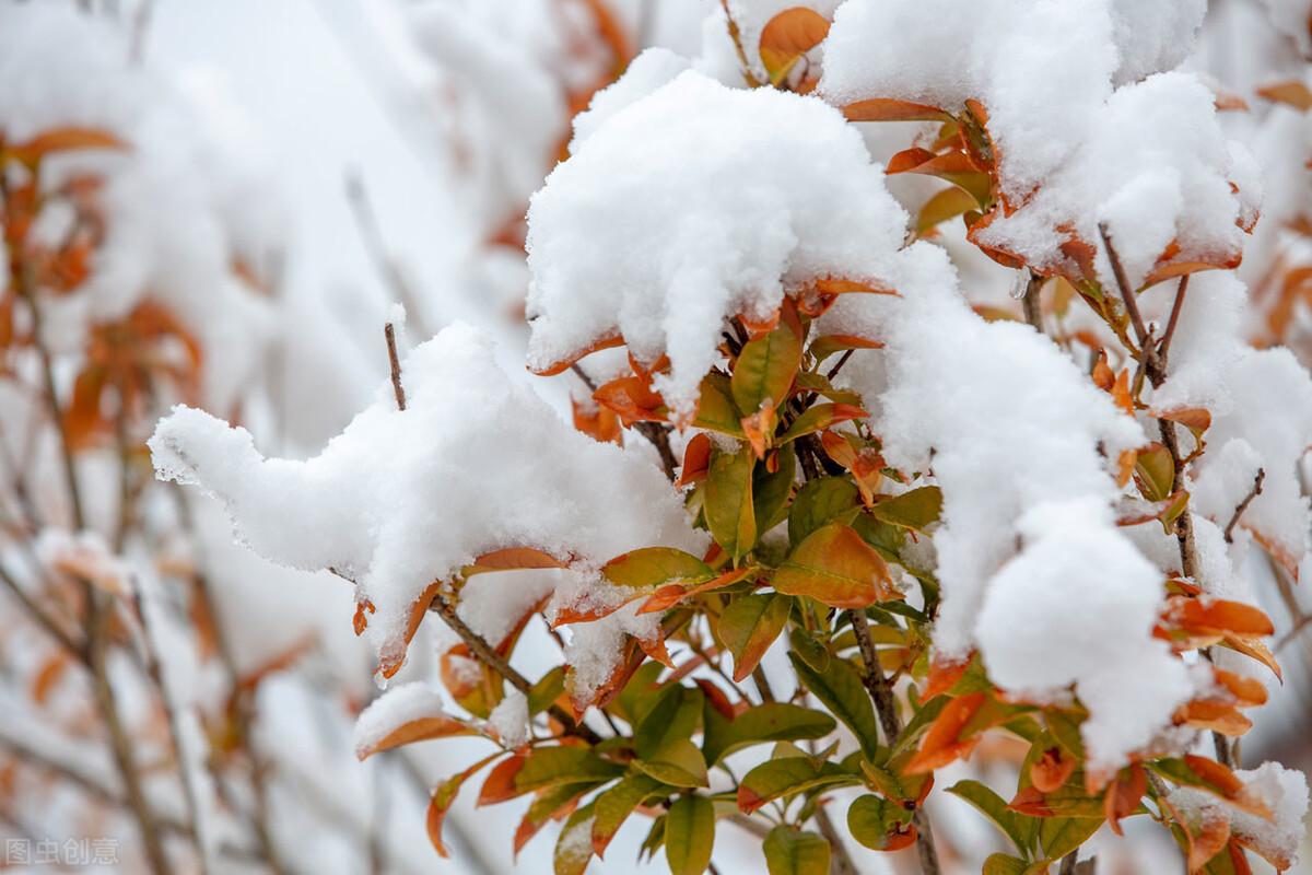 描写雪景的唯美诗句(赞美雪景的唯美诗句)