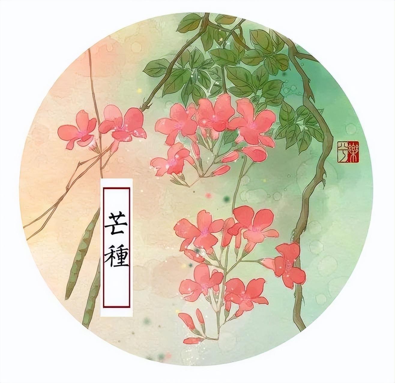 芒种节气问候祝福句子（芒种时节，愿你忙碌而充实，收获无限精彩）