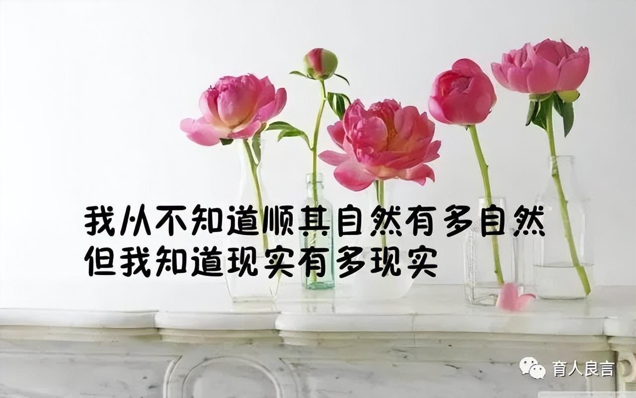 感悟人生的经典哲理句子（直击心灵的高质量句子）