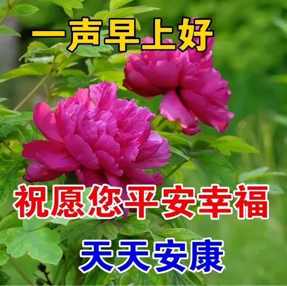 早安祝福问候语（正能量早安语录大全）