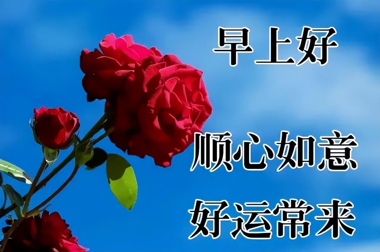 早安祝福问候语（正能量早安语录大全）