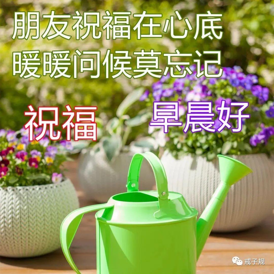 关于早上好的唯美句子（简单做人，快乐做事）