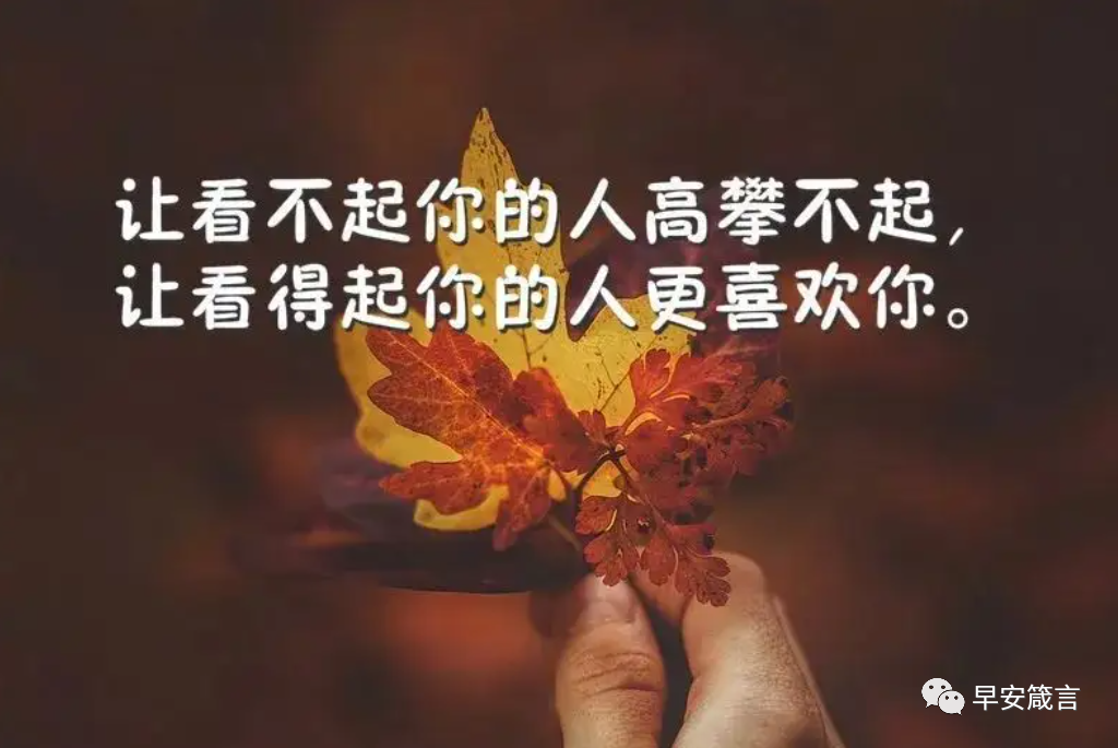 人生励志哲理句子（句句经典有哲理）