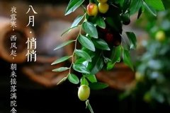 关于八月的唯美句子（八月的美好祝福文案）