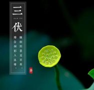 三伏天暖心问候语（关于三伏天的文案句子）