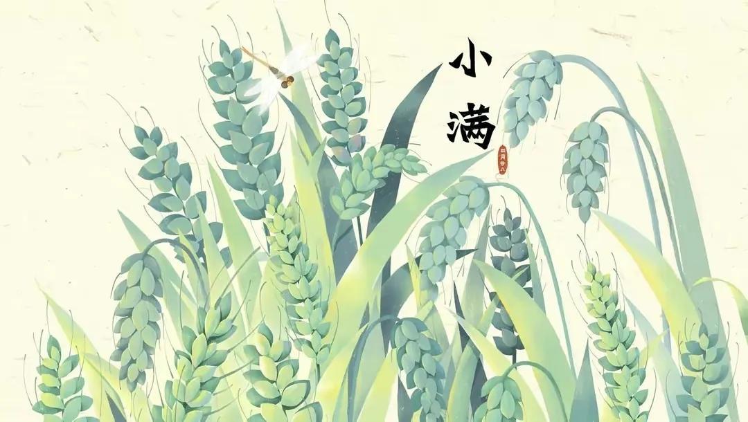 小满节气祝福语合集（描写小满节气的精美文案）