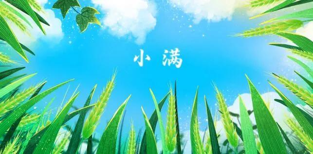 小满节气暖心祝福文案（暖心唯美问候句子）