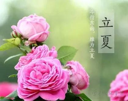 立夏唯美祝福语（立夏时节，落花随春去，余香伴夏来）