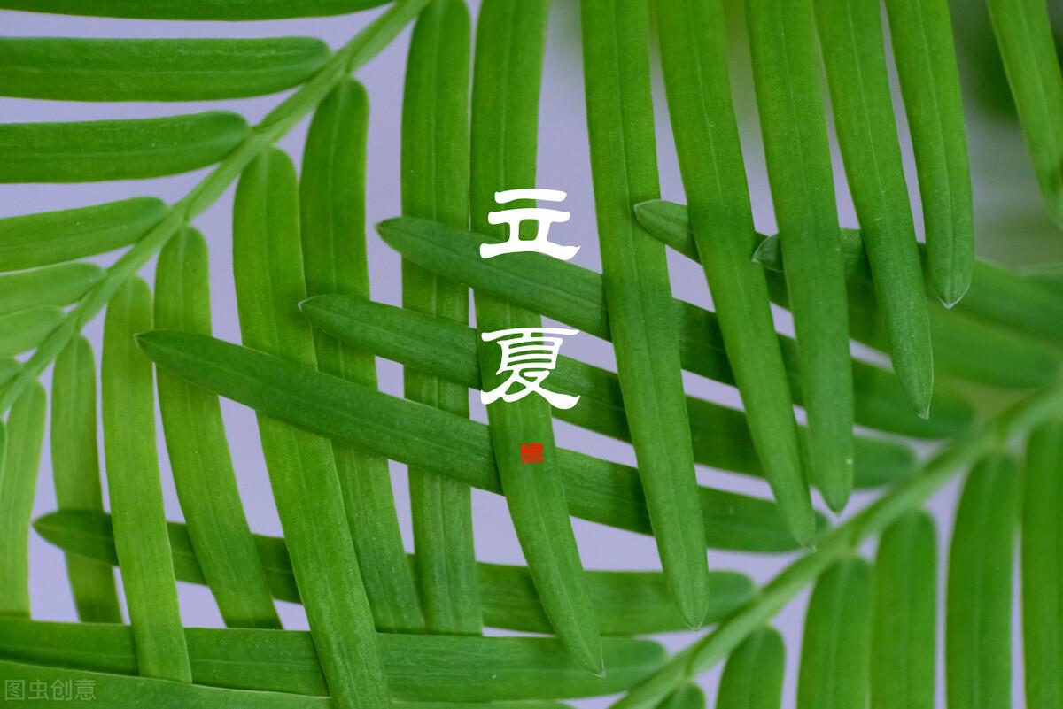 立夏唯美祝福语（立夏时节，落花随春去，余香伴夏来）