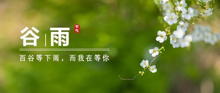 关于谷雨的经典祝福文案（愿春雨滋润你心田，幸福永伴你身边）