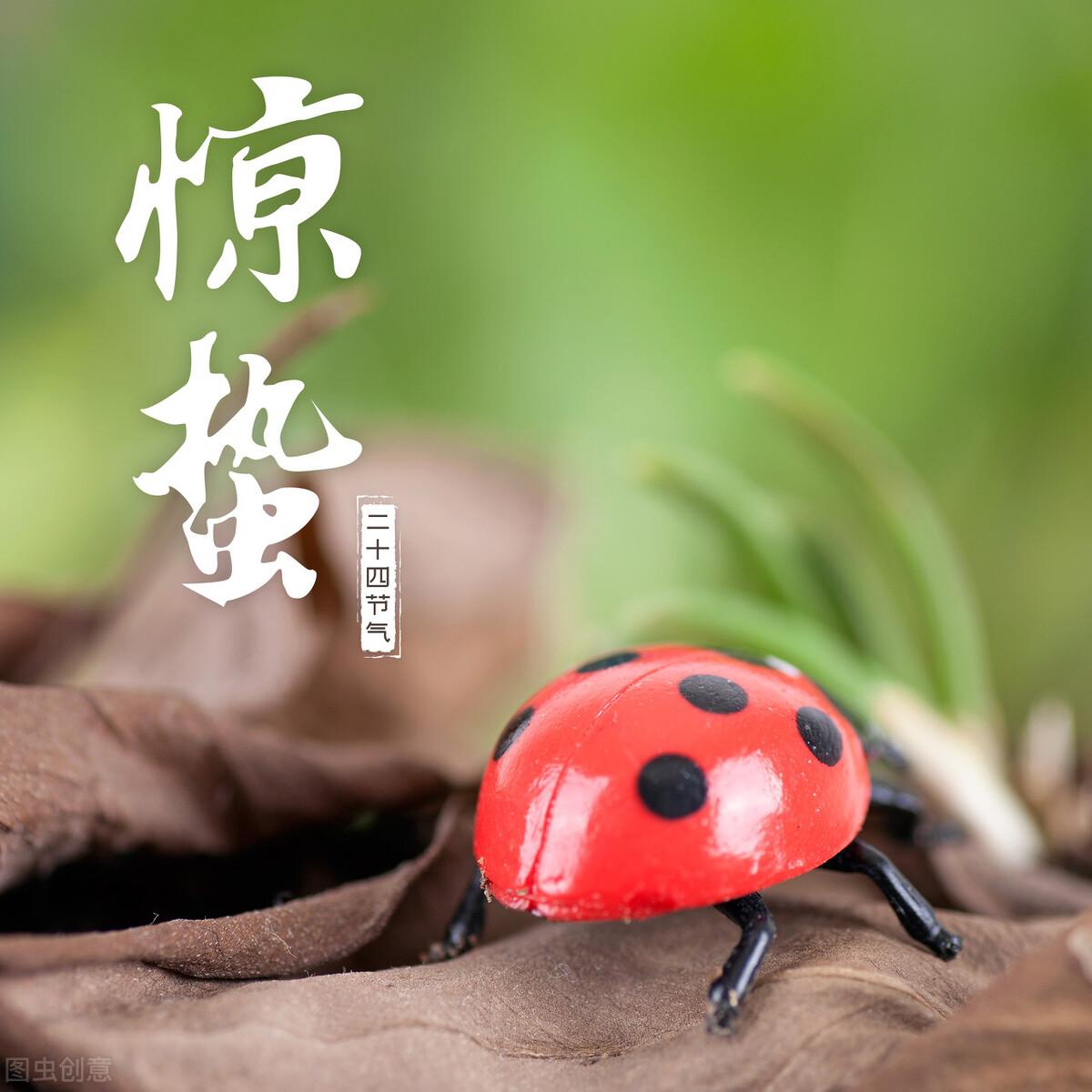 惊蛰节气祝福语大全（愿你幸福如意，惊蛰快乐）