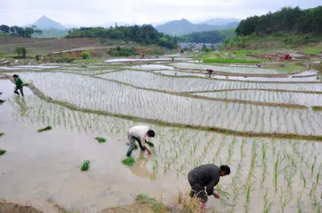 2022扬劳动之帆继承劳动精神活动讲话稿范文（起复兴之航发扬劳动精神教育演讲稿范例）