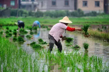 2022扬劳动之帆继承劳动精神活动讲话稿范文（起复兴之航发扬劳动精神教育演讲稿范例）