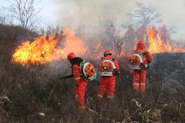 2022森林草原防火灭火宣传实施方案模板（森林草原防火预防计划工作方案范本）