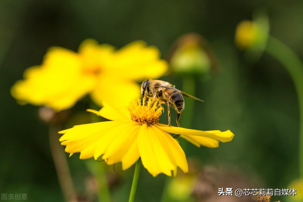 女人给自己的励志文案（全力以赴，全力以赴）