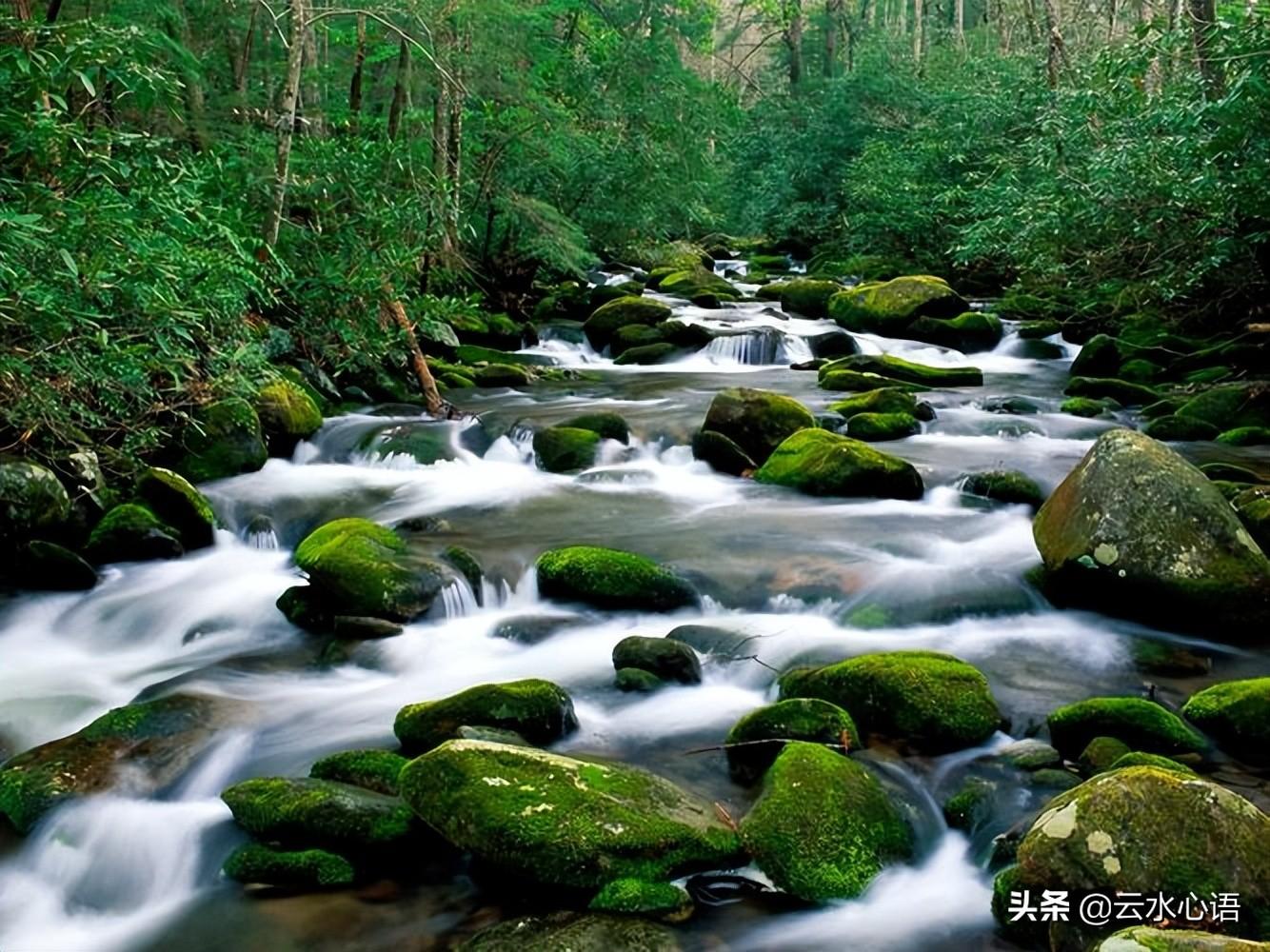 有关刘长卿五言律诗鉴赏（刘长卿经典五言律诗）