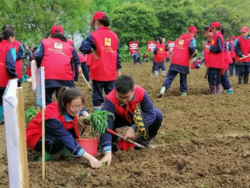 2022弘扬光荣传统五四团日活动方案模板（乐观进取五四主题团日策划方案范本）