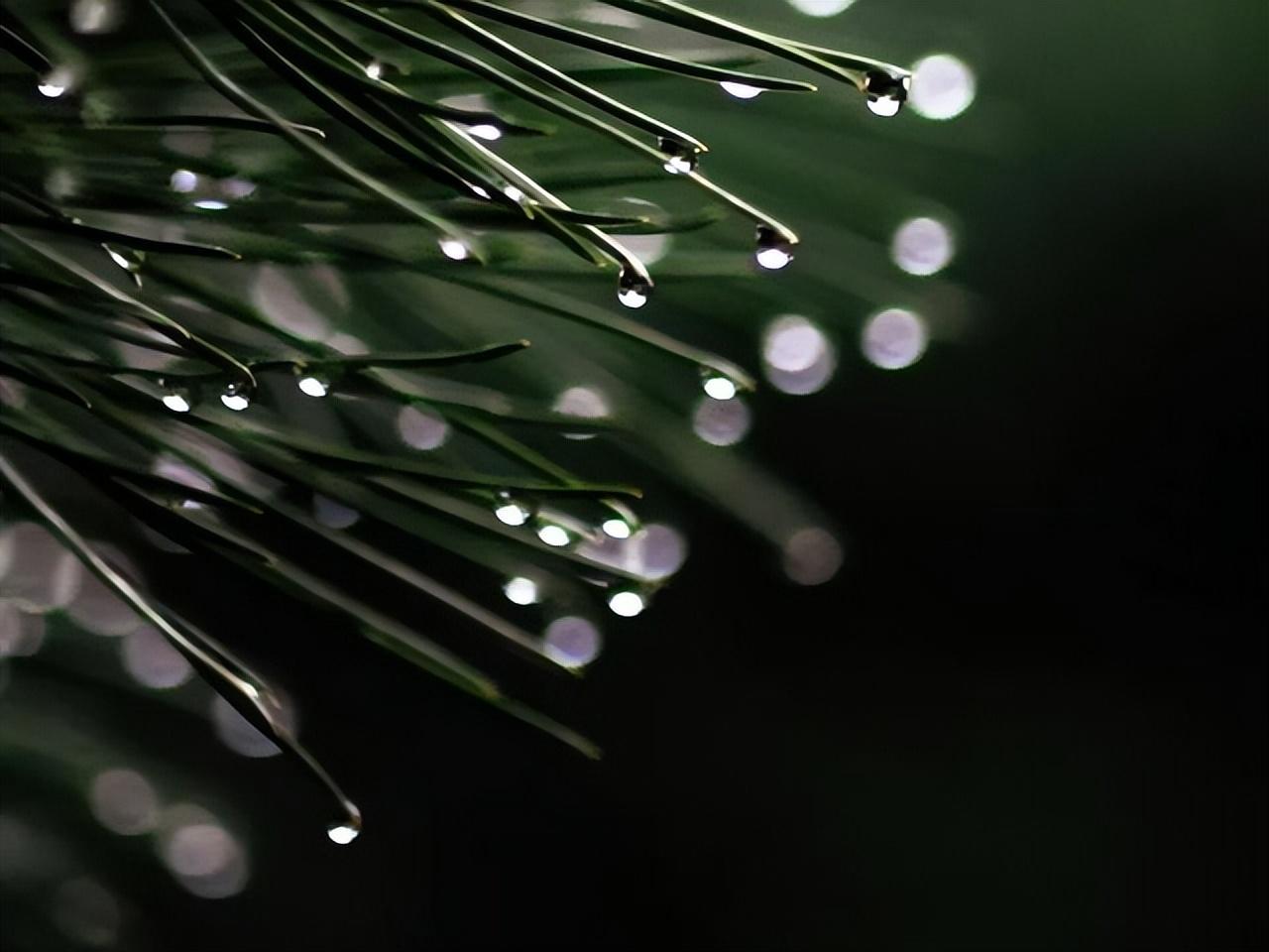 分享7首听雨的诗词（人生就像一场雨，时而淅沥，时而滂沱）