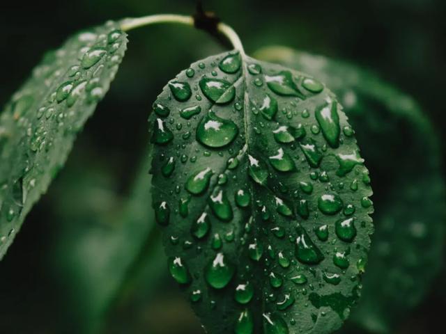 分享7首听雨的诗词（人生就像一场雨，时而淅沥，时而滂沱）