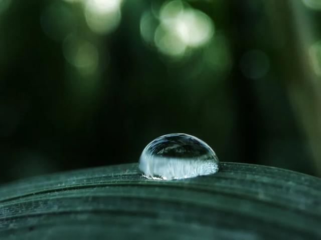 分享7首听雨的诗词（人生就像一场雨，时而淅沥，时而滂沱）