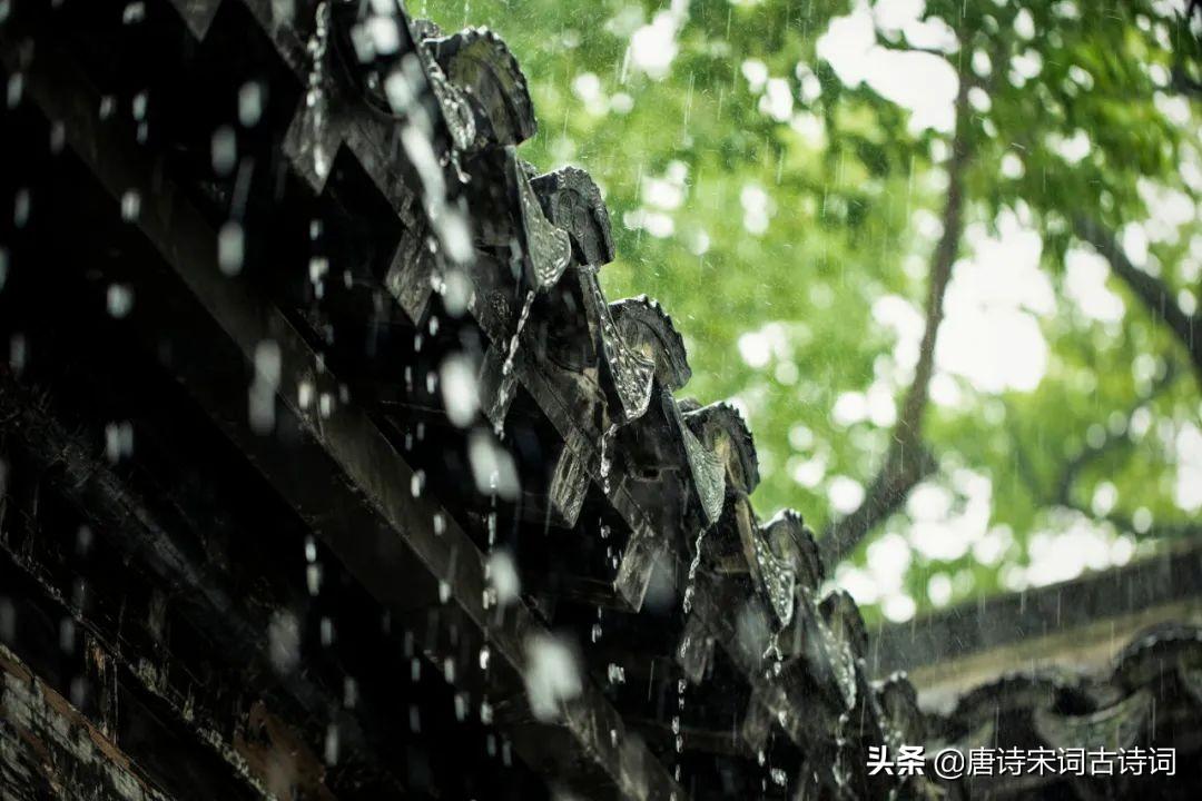 夏天那些沾染着雨意的诗词赏析（形容下雨天的唯美古词）