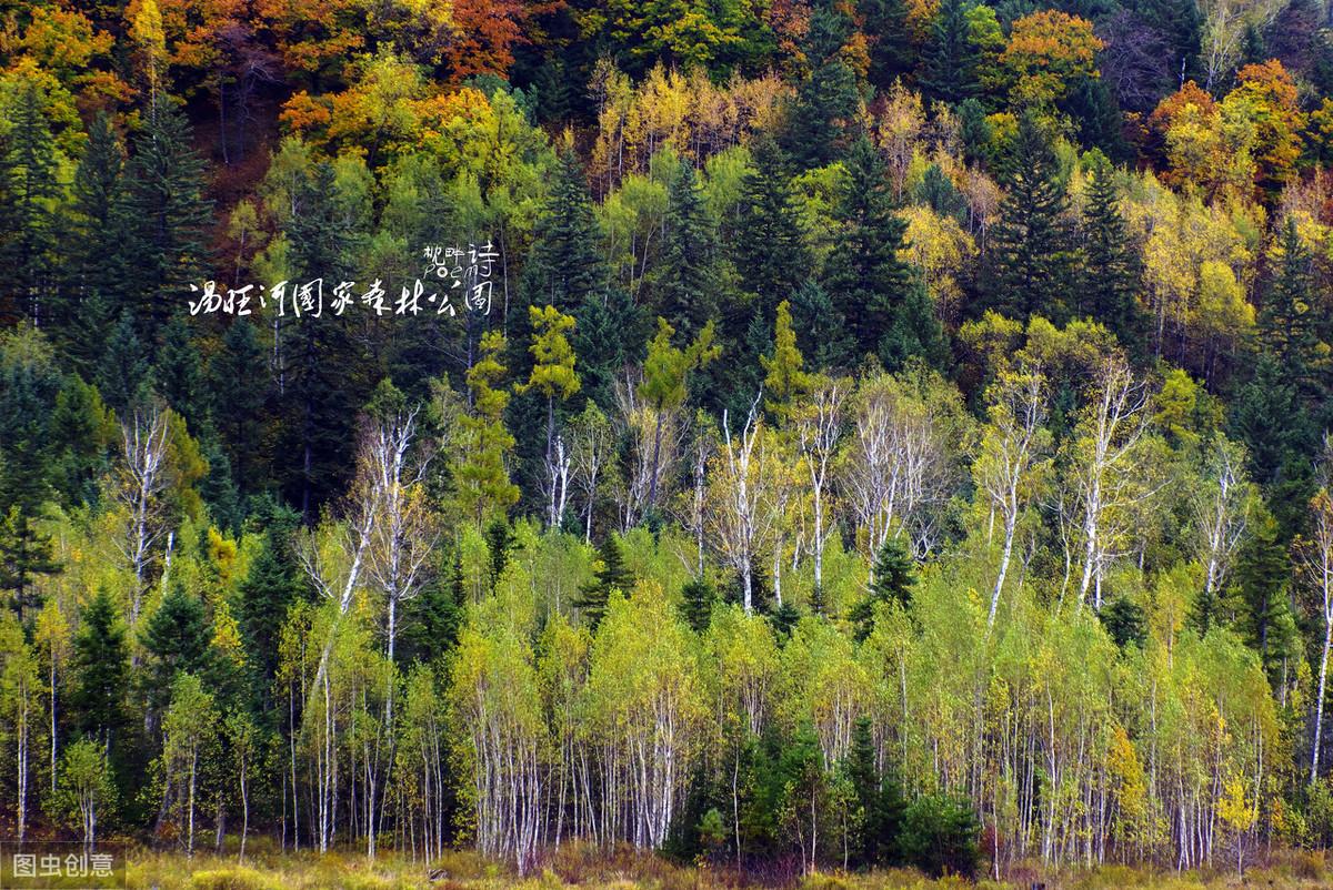 有关唯美初秋古诗词（已觉秋窗秋不尽，那堪风雨助凄凉）