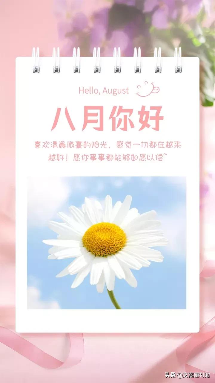 关于8月你好励志温柔文案（八月终会是温柔和月光）