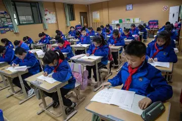 2022作业当堂做校园课后服务工作总结模板（家长再无忧小学课后服务活动总结范本）