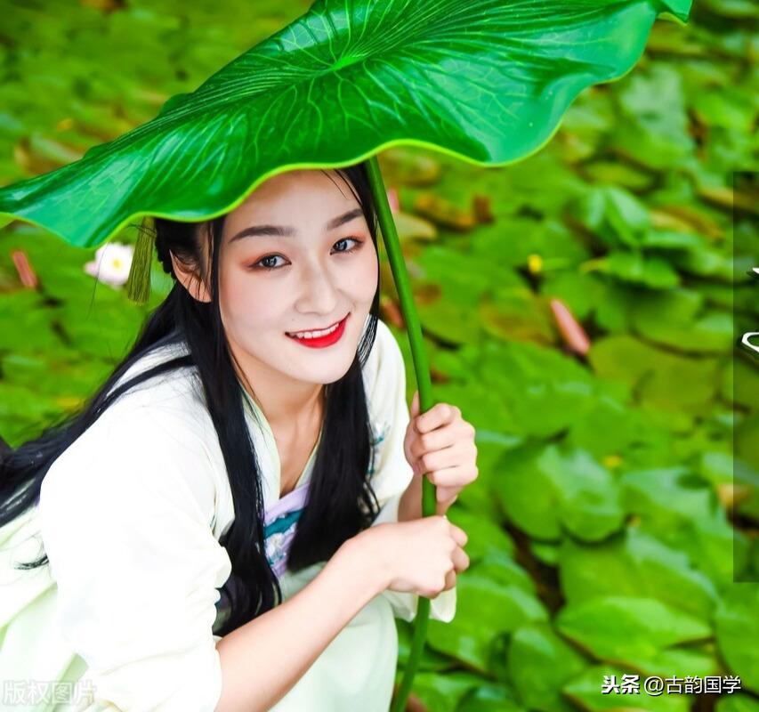 形容女子貌美有韵味的诗句（赞美女人优秀的句子）