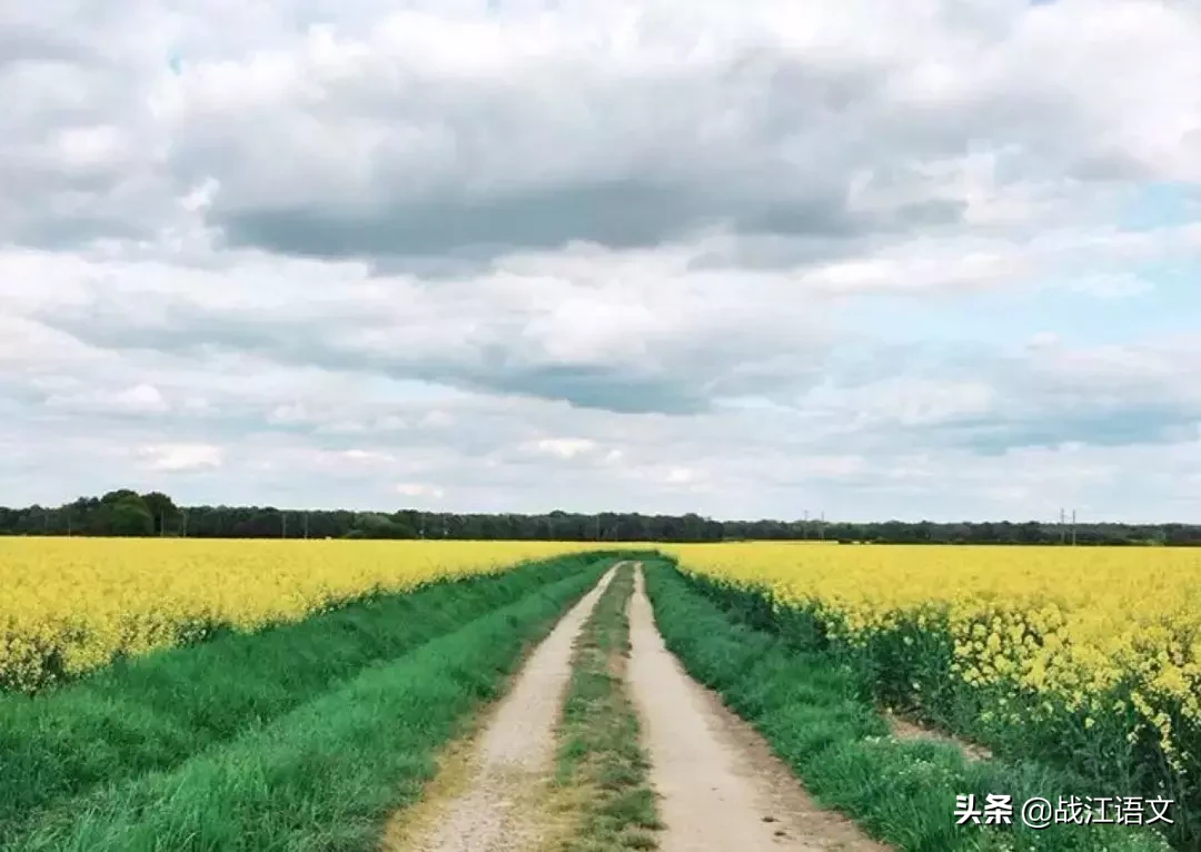 有关平凡的世界读书笔记分享（平凡的世界好段赏析）