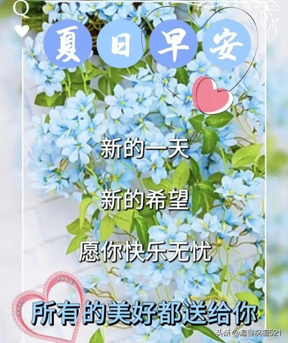 大暑节气早安问候语（夏天早上好祝福语）