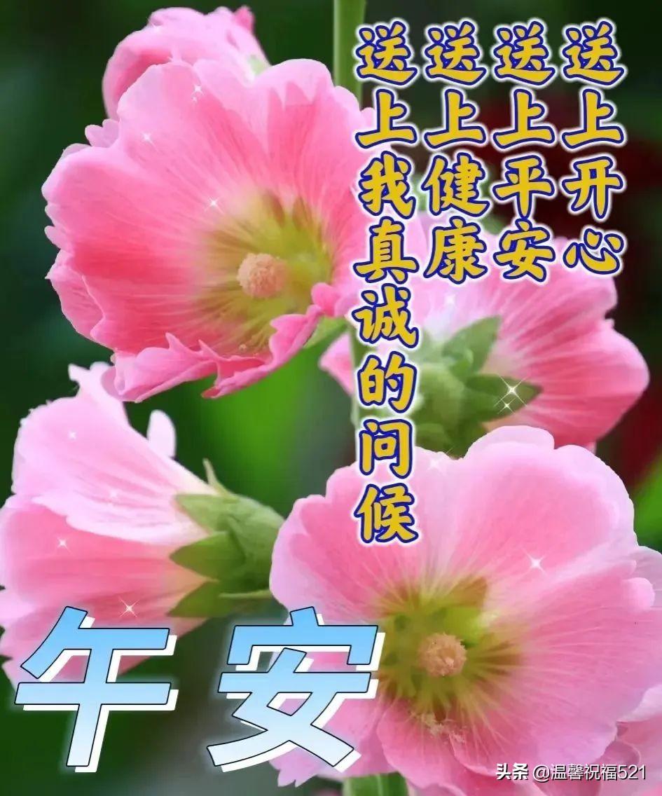 大暑节气早安问候语（夏天早上好祝福语）