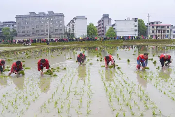 2022昂扬的锐气劳动技能大赛演讲稿范文（无畏的勇气劳动竞赛开展发言稿模板）