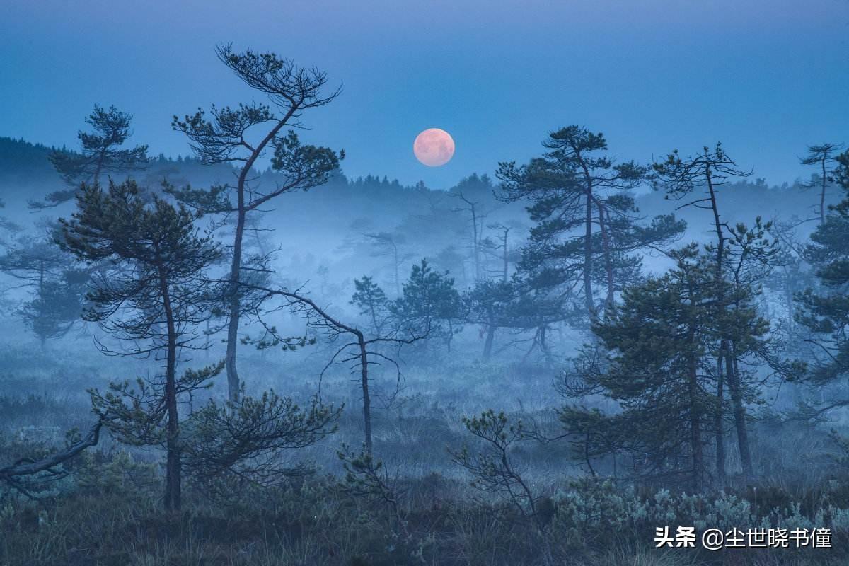 杜牧思念故乡伤感古诗（关于伤感的诗词古句）