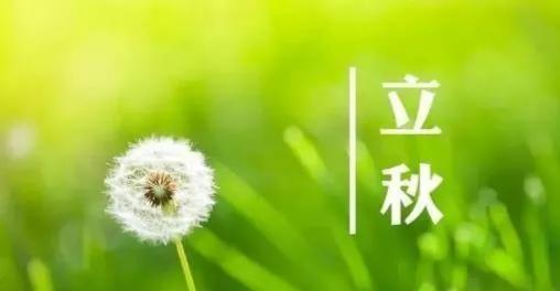 24节气立秋祝福文案（祝你伴随着立秋的脚步逐渐收获人生的秋天硕果）