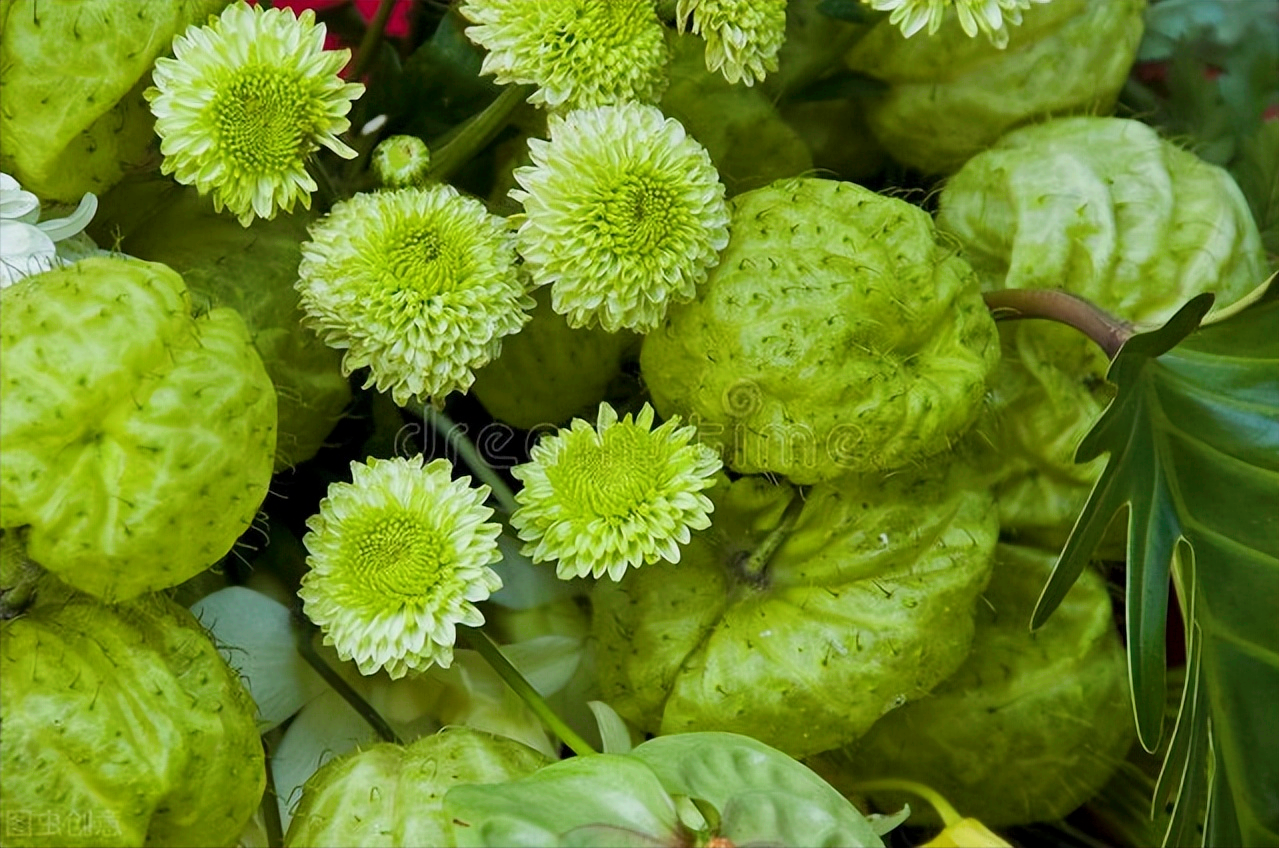 形容四月天的唯美句子（一花一世界，花开富贵醉春天）