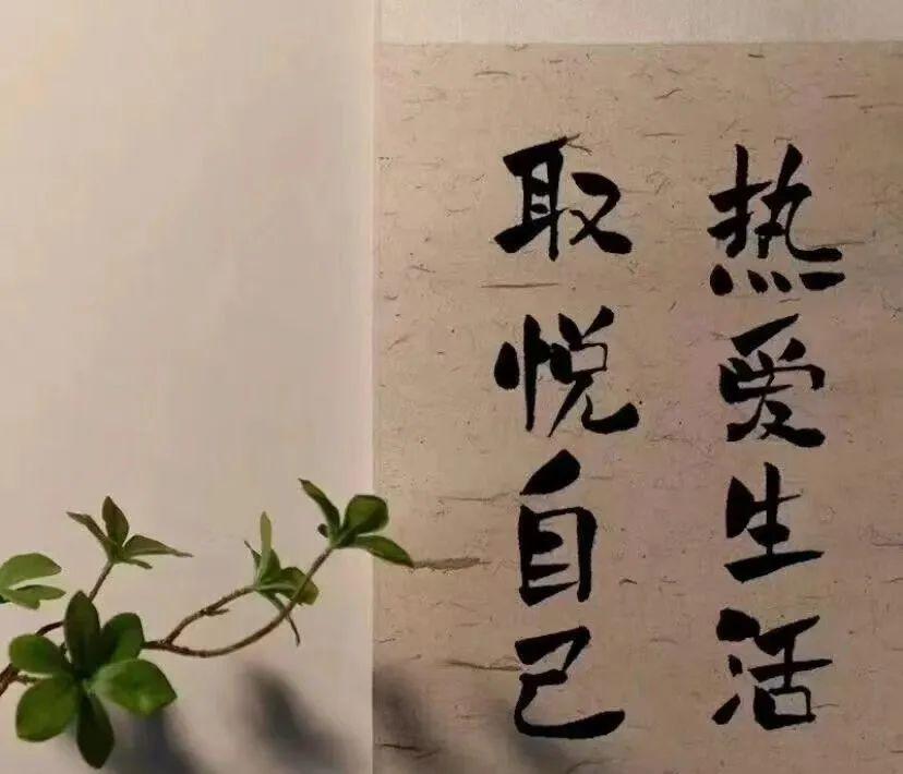 小说里令人惊艳的文案（那些惊艳世俗的小说文案）