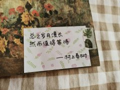 小众且高级的惊艳文案句子（温柔小众文案）