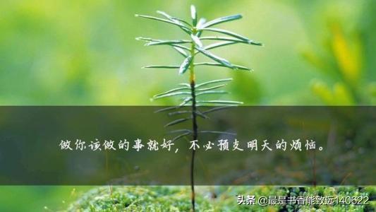 关于人生箴言语录大全（人生箴言20则）