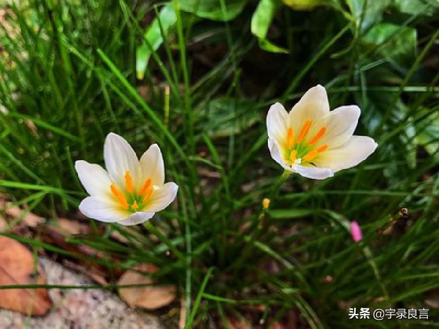 表达人生百味的哲理句子（管你风雨，我有自己）