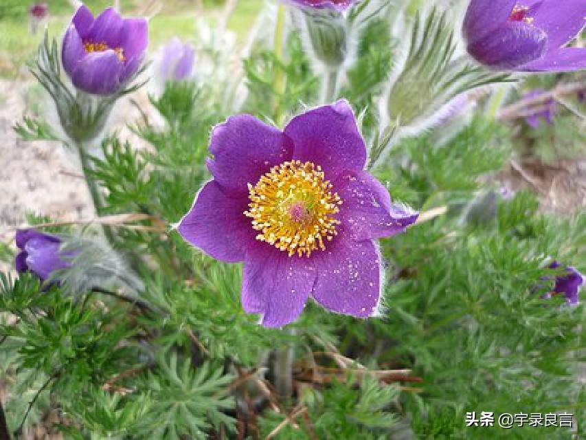 表达人生百味的哲理句子（管你风雨，我有自己）