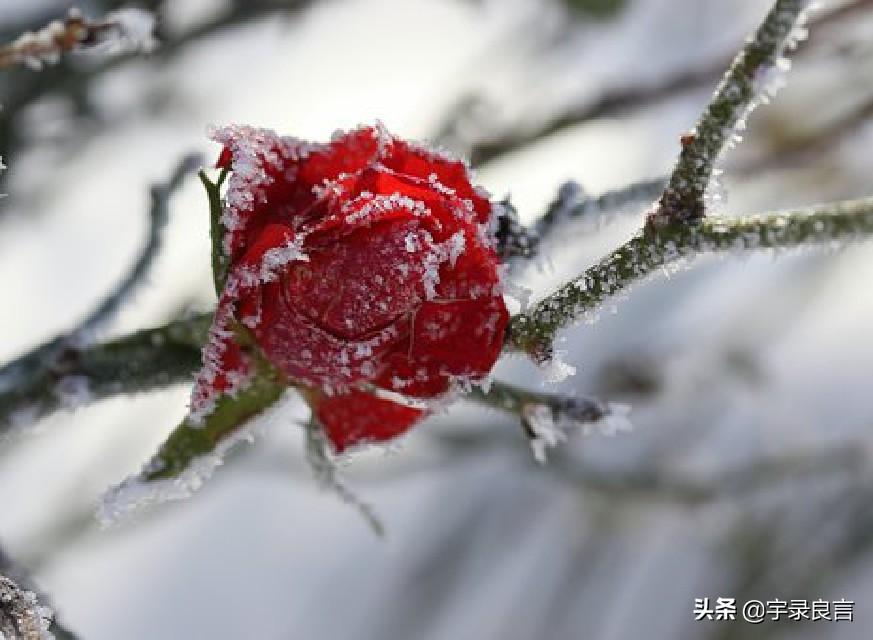 不管怎样，路要自己走（适合发朋友圈的感悟句子）