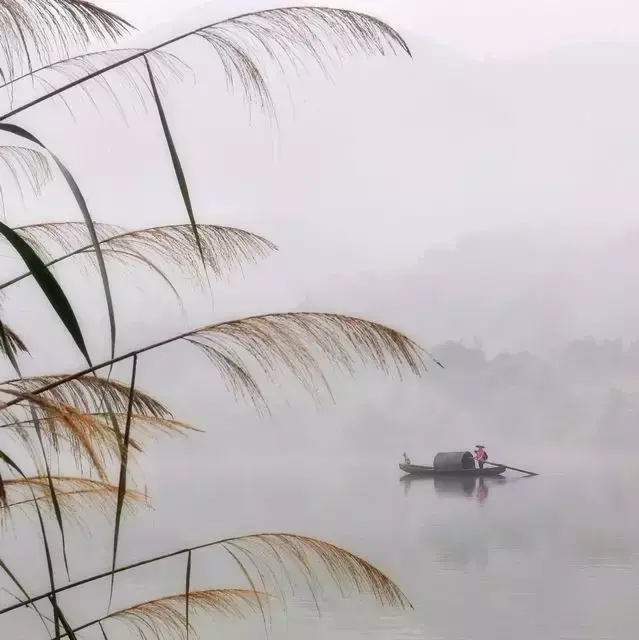 唯美的诗词名句（欣赏经典古诗词）