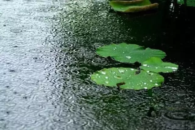 描述夏天雨后的诗词（夏天雷雨的诗句唯美）